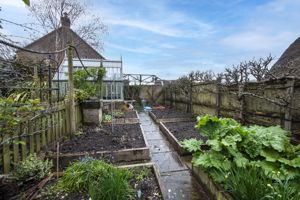 Vegetable Plot- click for photo gallery